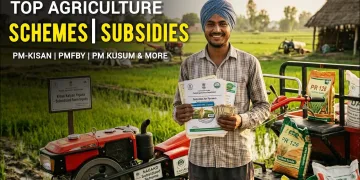farmers subsidy scheme